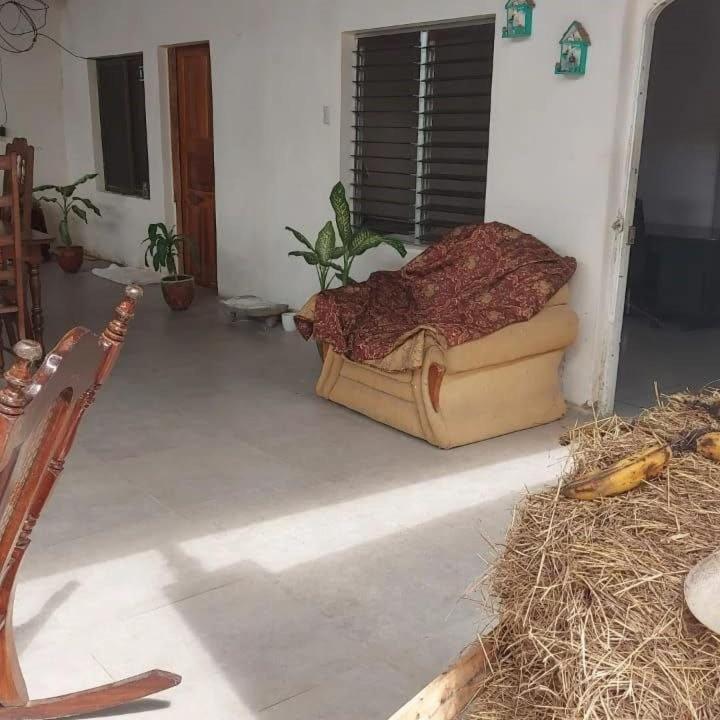 Hostal Brisas Del Ometepe Rivas Eksteriør bilde